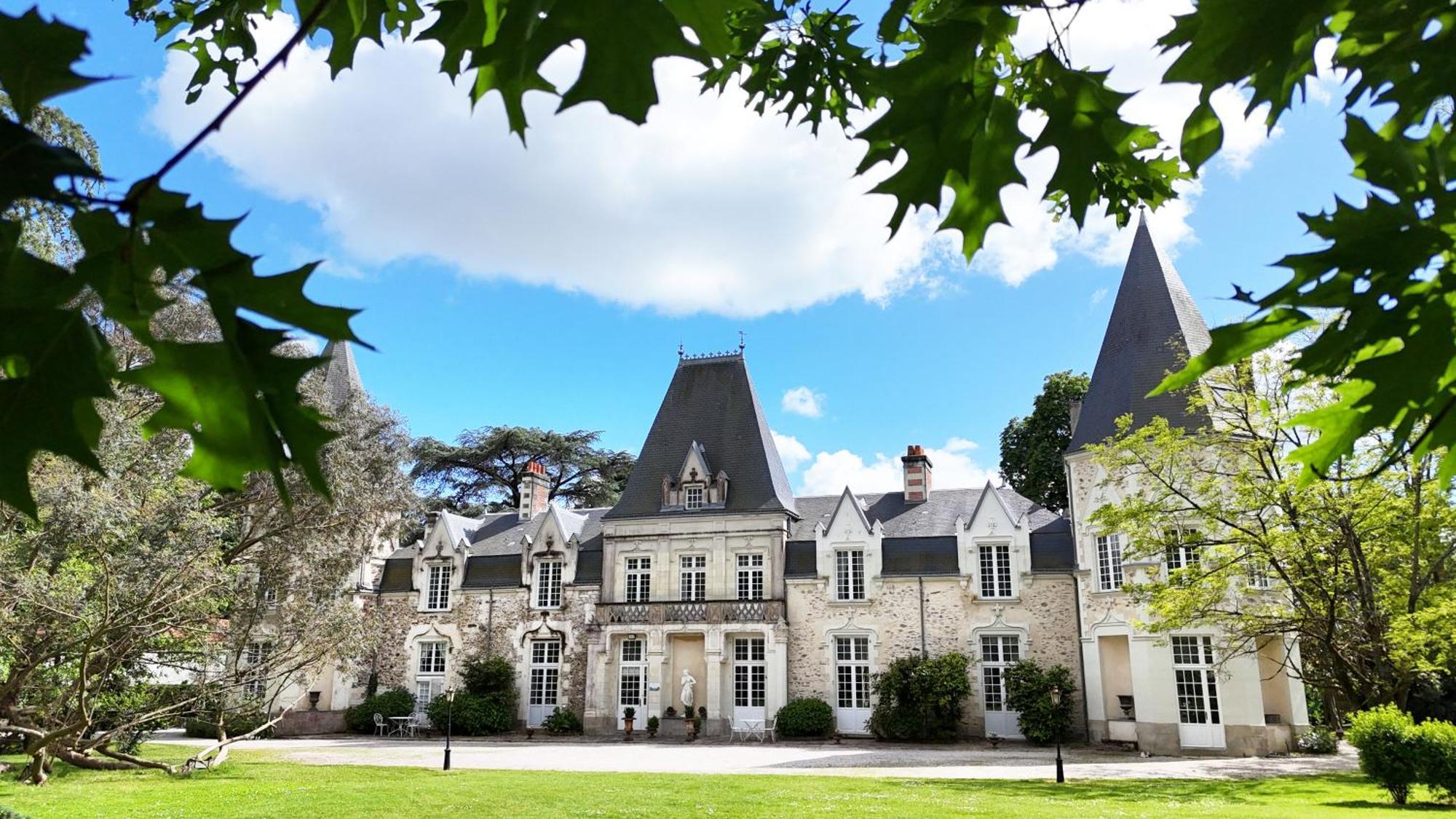 Chateau Du Bois De La Noe Bouaye Exterior photo